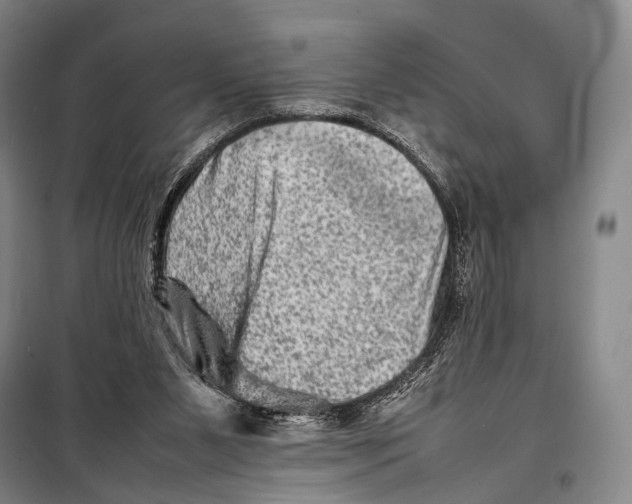 X0000098220111200805151326