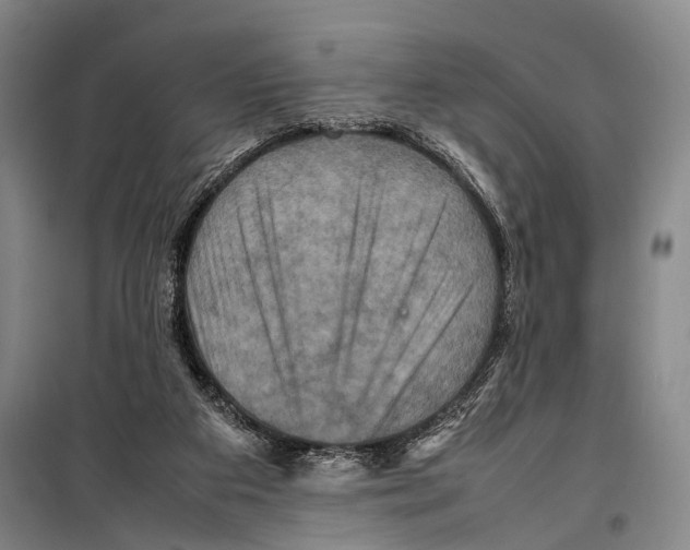 X0000098220113200805151326