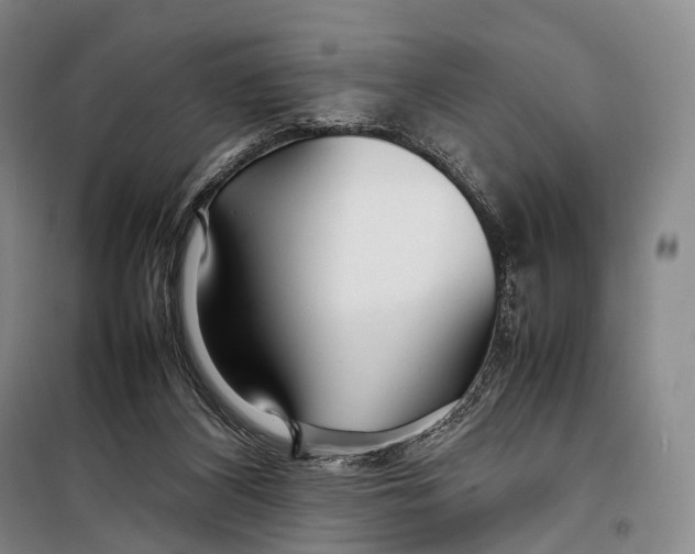 X0000098220116200805151326