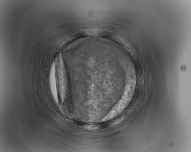 X0000098220117200805151326