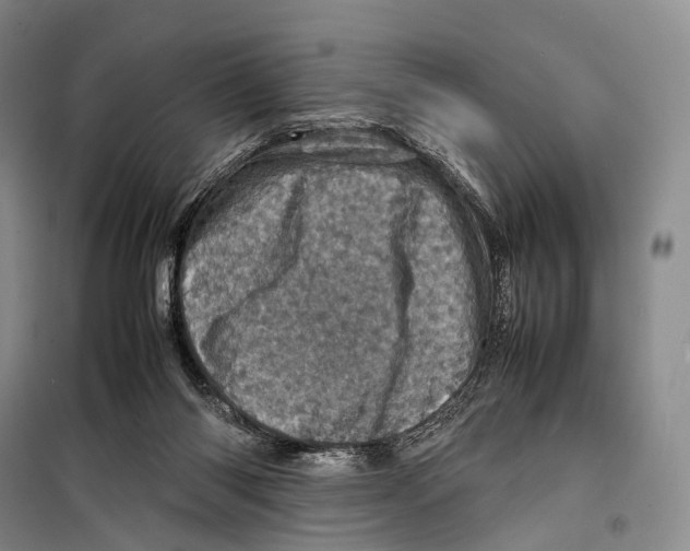 X0000098220118200805151326