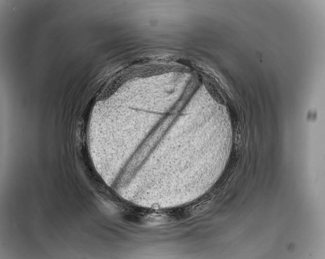 X0000098220119200805151326