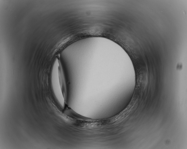 X0000098220120200805151326