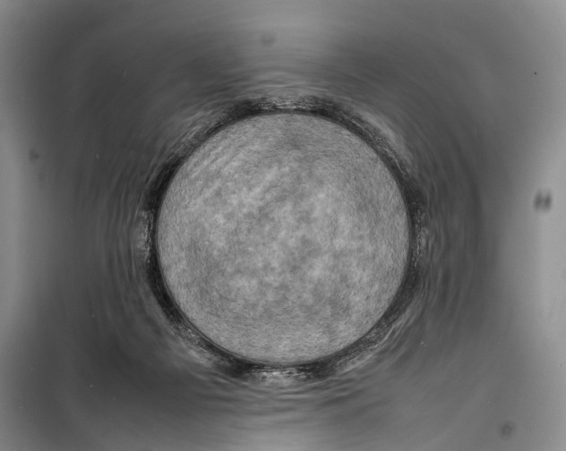 X0000098220121200805151326