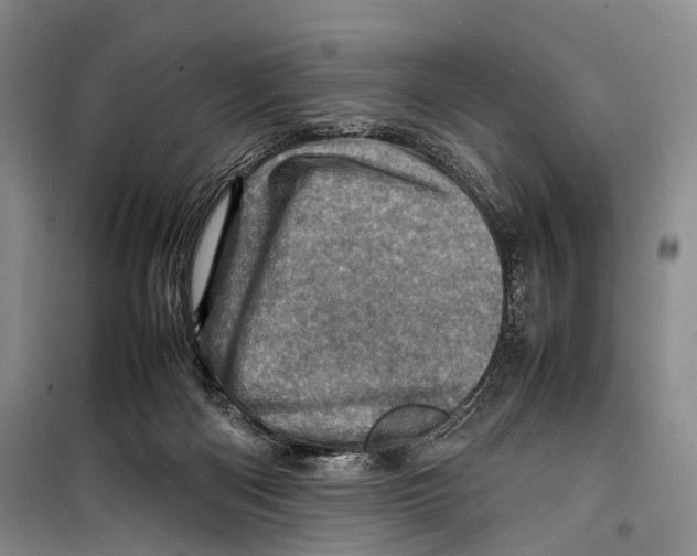 X0000098220122200805151326