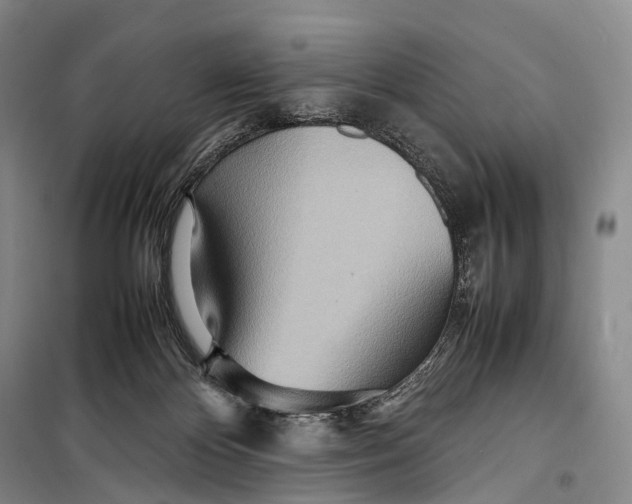 X0000098220124200805151326