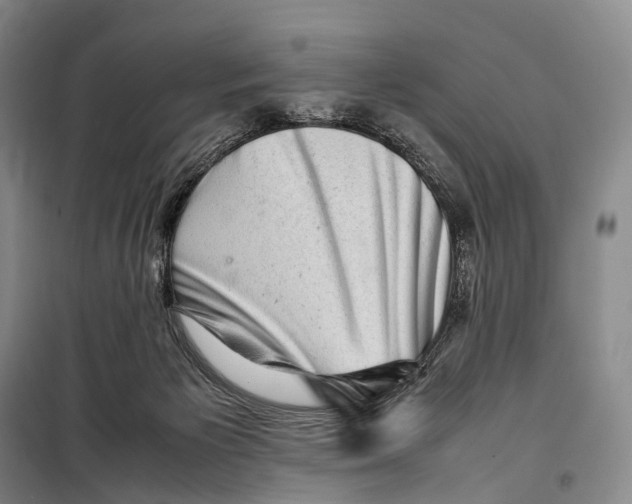 X0000098220125200805151326