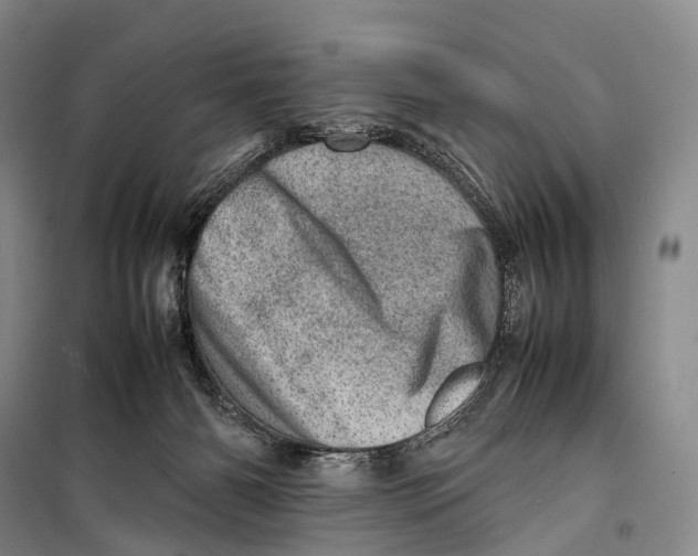 X0000098220126200805151326