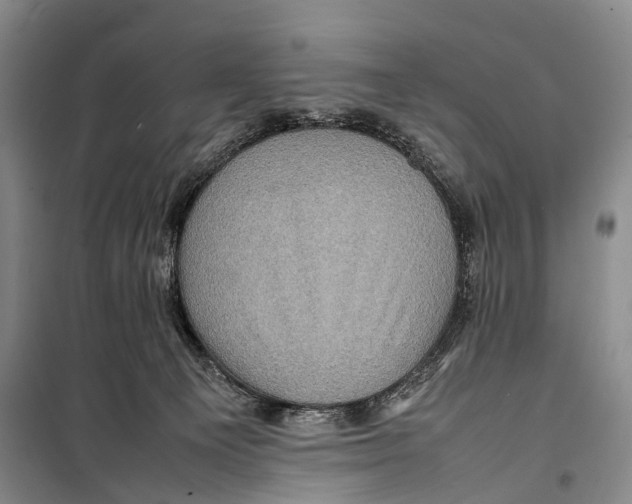 X0000098220129200805151326