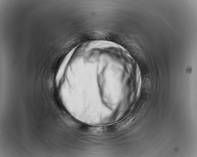 X0000098220131200805151326