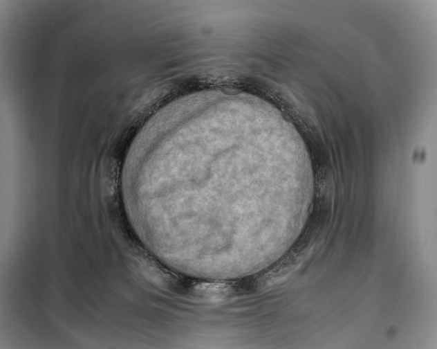 X0000098220133200805151326