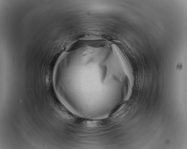 X0000098220134200805151326