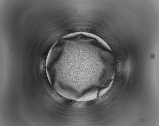 X0000098220138200805151326