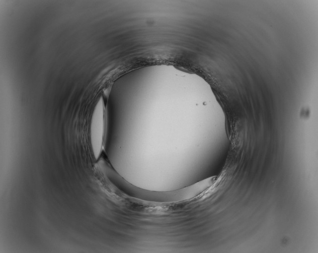 X0000098220140200805151326