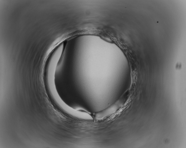 X0000098220150200805151325