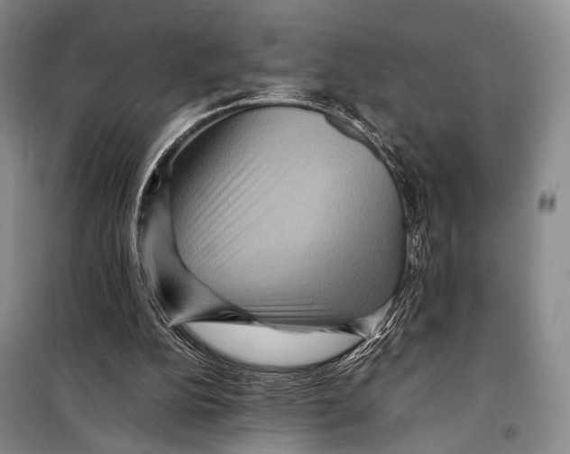 X0000098220152200805151325