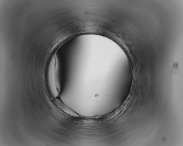 X0000098220154200805151325