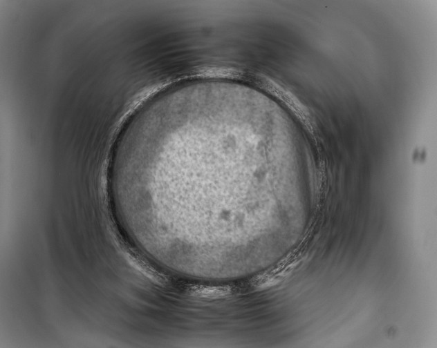 X0000098220155200805151325