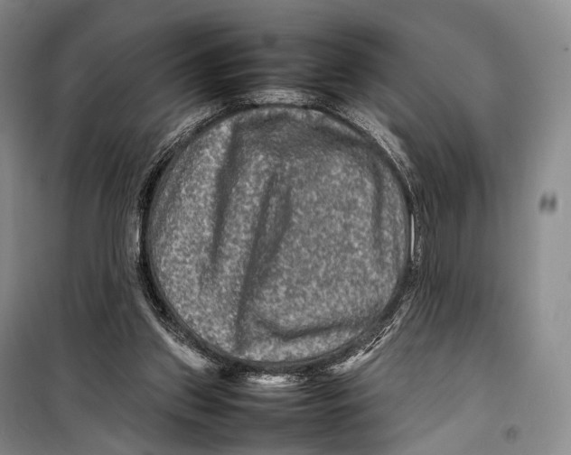 X0000098220157200805151325