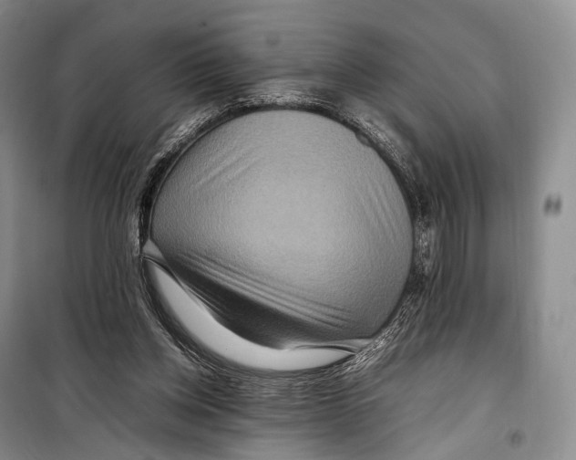 X0000098220158200805151325