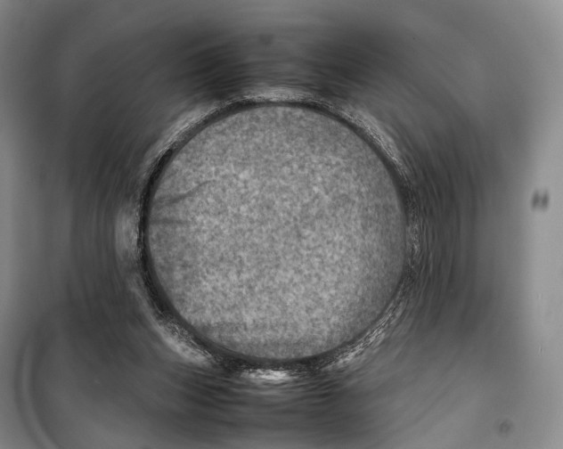 X0000098220159200805151325