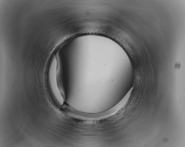 X0000098220160200805151325