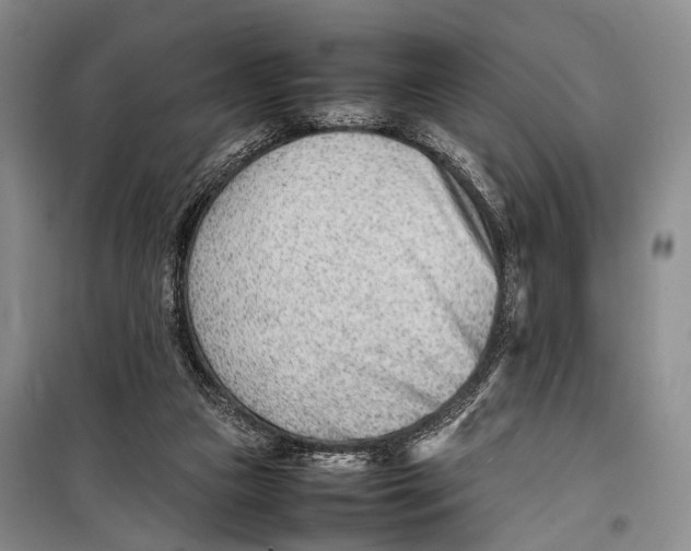 X0000098220161200805151325