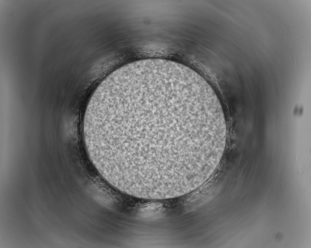 X0000098220162200805151325