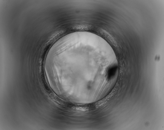 X0000098220163200805151325