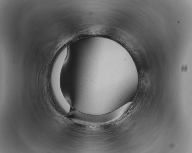 X0000098220164200805151325