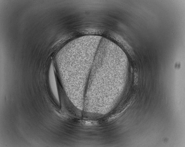 X0000098220165200805151325