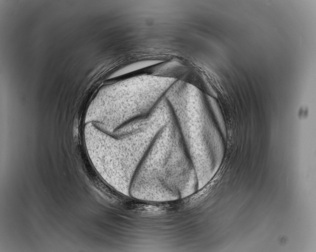 X0000098220166200805151325