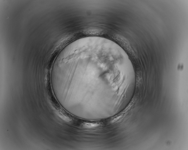 X0000098220167200805151325