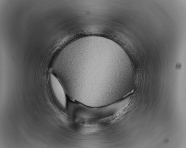 X0000098220168200805151325