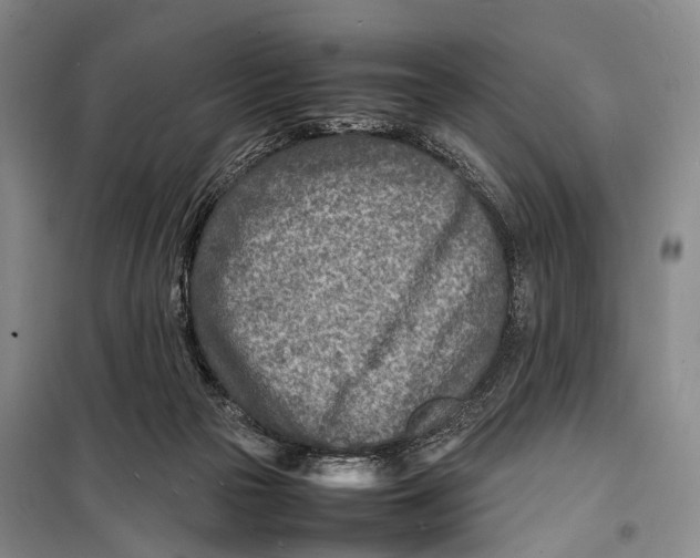 X0000098220169200805151325