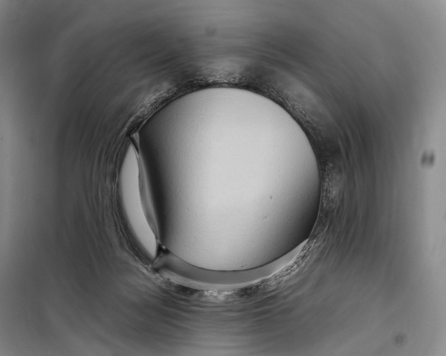 X0000098220172200805151325