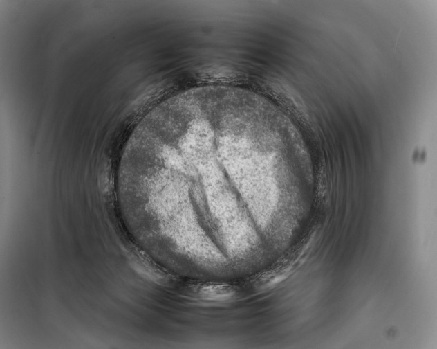 X0000098220173200805151325