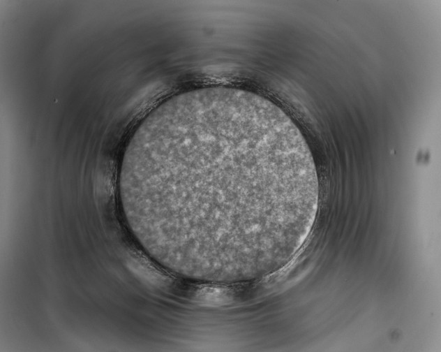 X0000098220174200805151325