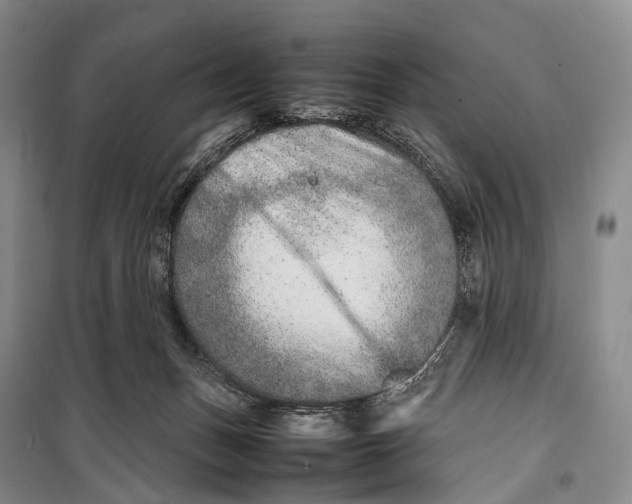 X0000098220175200805151325