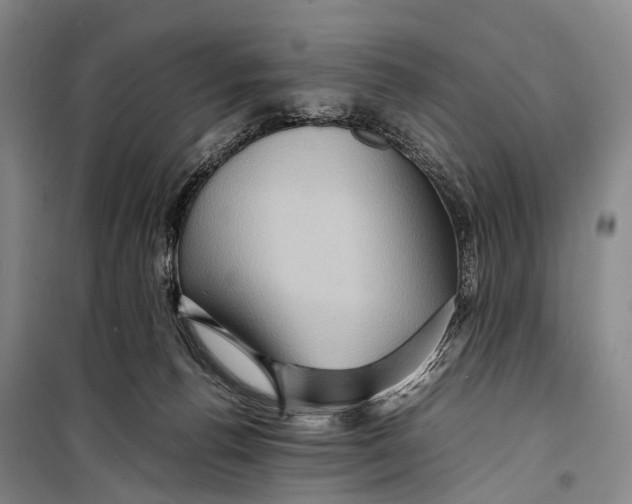 X0000098220176200805151325