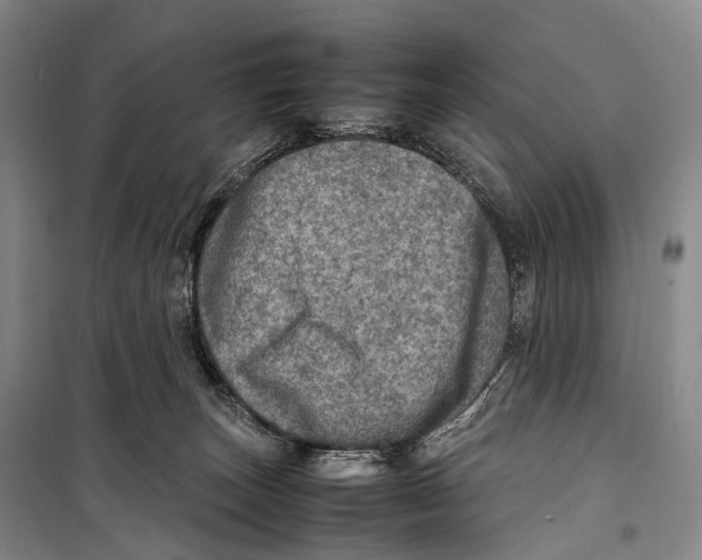 X0000098220179200805151325