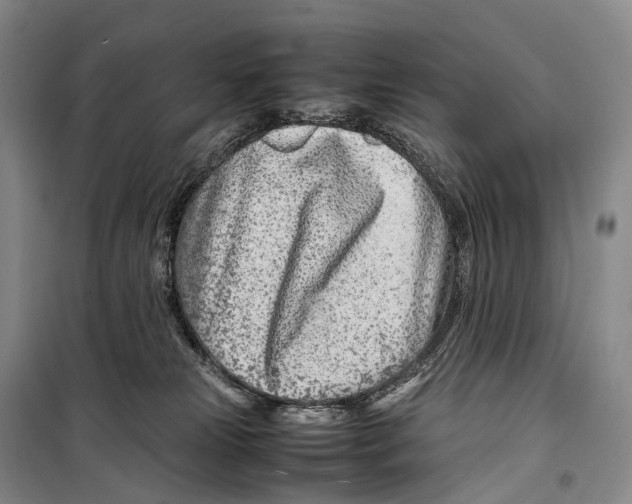 X0000098220181200805151326