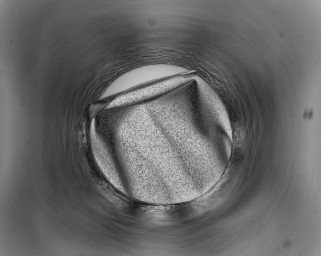 X0000098220182200805151326