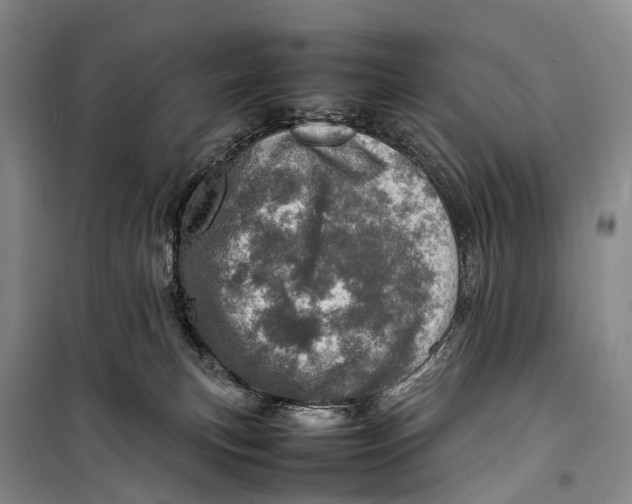 X0000098220183200805151326