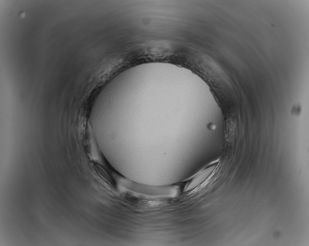 X0000098220184200805151326