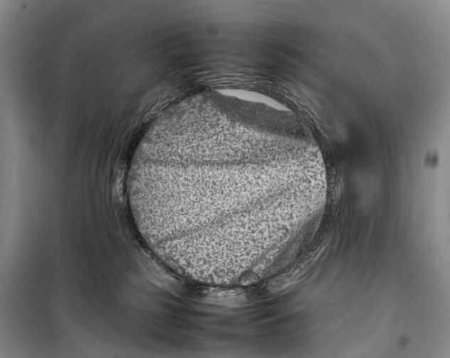 X0000098220185200805151326