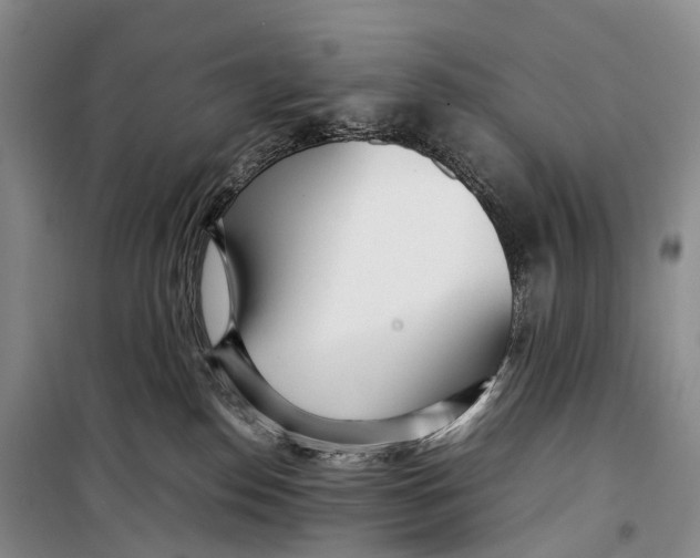 X0000098220186200805151326