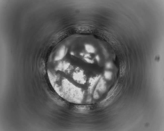 X0000098220187200805151326