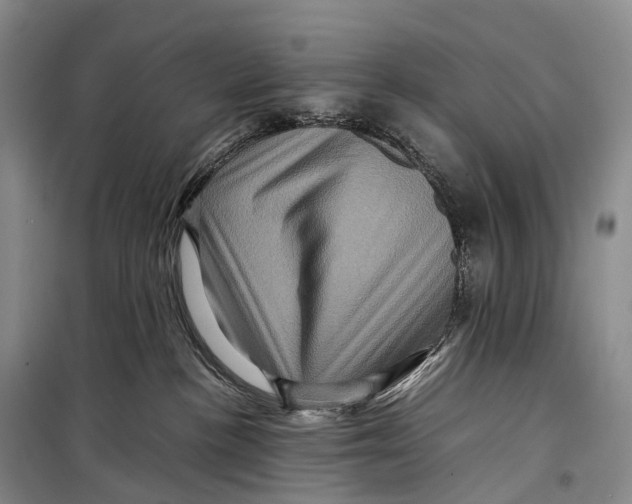 X0000098220188200805151326