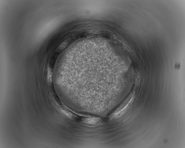 X0000098220191200805151326